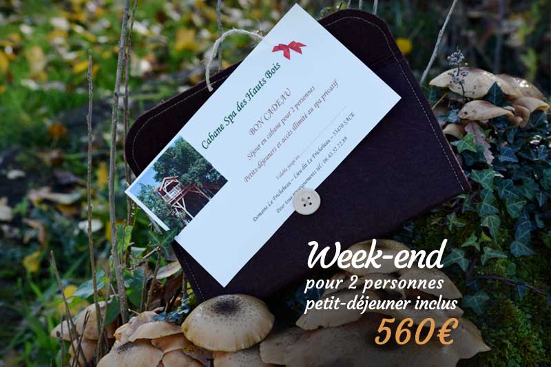Offrir Une Carte Cadeau Pour Un Sejour En Mayenne Cabane Avec Spa En Mayenne